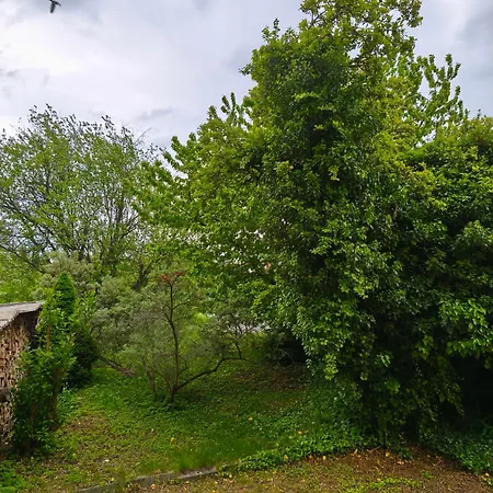 Spinačka